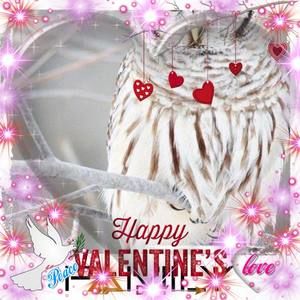 Meet your Posher, Peggy